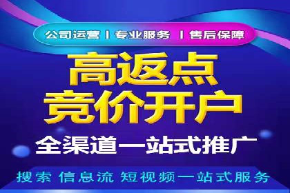 百度竞价SEM深度解析：某行业成功推广经验